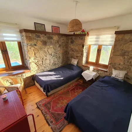 Village House Awsome Seaview, Organic Garden & Pool Holiday home