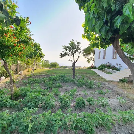 Holiday home Village House Awsome Seaview, Organic Garden & Pool